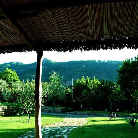 Casale Pontecorvo Sant'Agnello Exterior foto